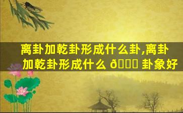 离卦加乾卦形成什么卦,离卦加乾卦形成什么 🐈 卦象好